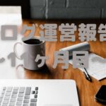ブログ運営報告~11ヶ月目~