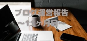 ブログ運営報告～11ヶ月目～
