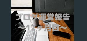ブログ運営記録～12ヶ月目～